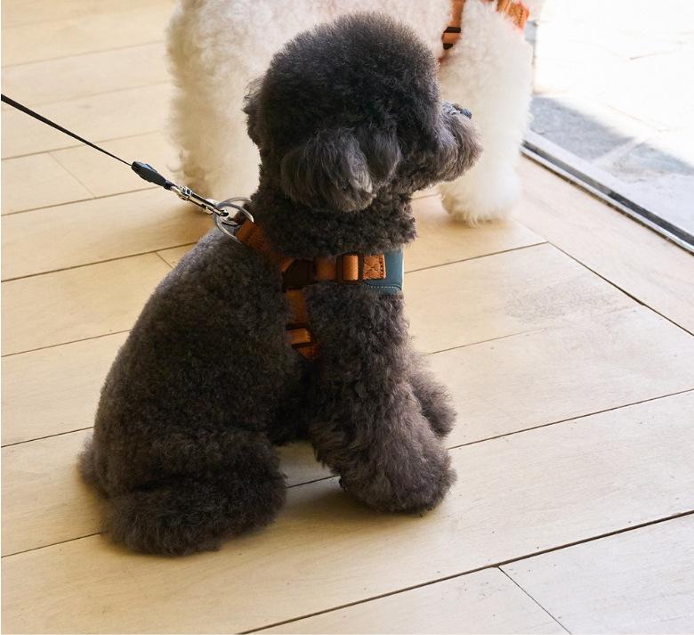 Регулируемая шлейка и поводок для собак малого/среднего размера - Шлейка на грудь и веревочная шлейка для плюшевых игрушек