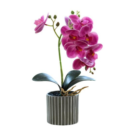 Artificial Potted Plant Faux Moth Orchid Bonsai Desktop Artificial Potted Phalaenopsis Flowers for Home Dining Table Office Desk Decoration