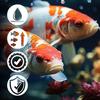 Mersjo Pond Pellet MIX 5kg 6mm Floating Complete Feed for Koi & Pond Fish
