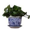 HC Ceramic Planter with Tray - Double Dragon Design
