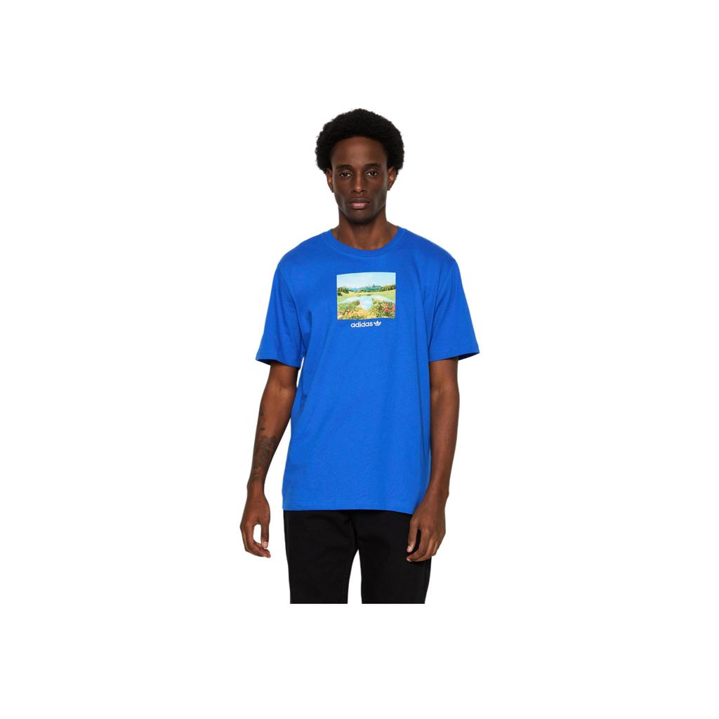 adidas Футболка Originals Day Graphic Tee с живописным принтом, спортивная футболка с коротким рукавом, мужские топы, синяя JF2859