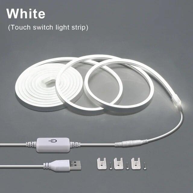 5V USB LED Neon Light Strip Touch Sensor Dimmable Flexible Neon Sign Tape 120LED With Wireless Remote Control Ribbon Room Decor