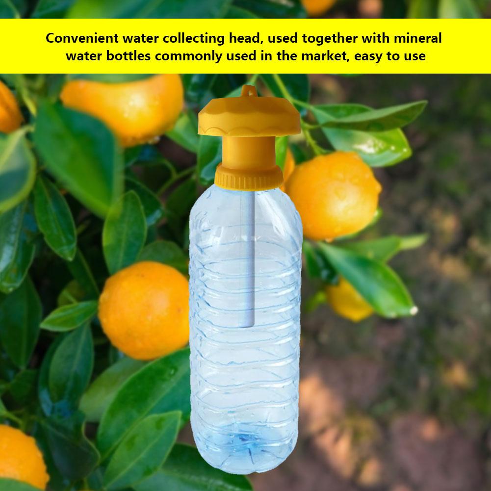 1-30pcs Drosophila Killer Fruit Fly Trap Antimosquito Orchard Vegetable Field Attractant Bait Pest Control Farm Accessories