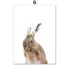 Nordic Squirrel Owl Giraffe Art Wall Poster Hedgehog Rabbit Hamster Mural Children's Room Home Decoration Cuadros Decorativos
