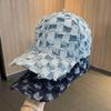 Старая ковбойская бейсболка Весна Лето Уличная мода Клетка Козырек Жесткий верх Кепка Клетчатая бейсболка, Рваный край Потертая Повседневная шляпа