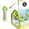 Educational Kit Experiment Greenhouse Mini Garden Real Growing Flowers
