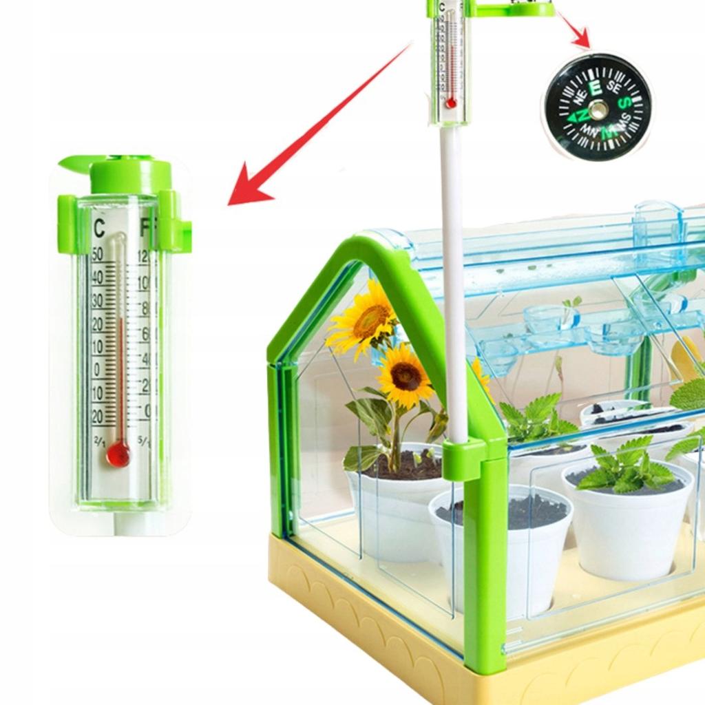 Educational Kit Experiment Greenhouse Mini Garden Real Growing Flowers