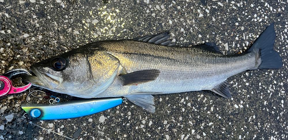 Jumprize Mega Terror 160F Реальная сардина #04