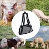 Calf Sling for Weighing Calf Sling for Weighing Small Animals Goat Sling for Hoof Trimming Breathable Livestock Lamb