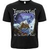 Immortal "В Сердце Зимы" (rw) Хаос черных футболок