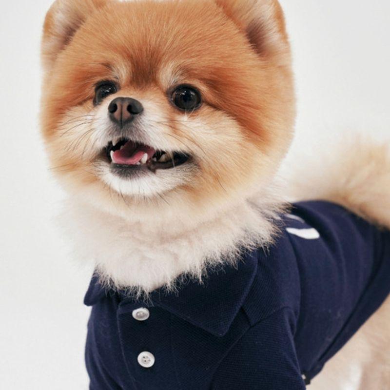 CROOKTHECHIHUAHUA Стандартный топ половинной длины ( 6color )