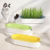For Easy Growth Hydroponic Soilless Planting Catnip Cat Grass Pot Set Hydroponic Cat Grass Box