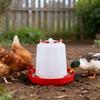 4/6Pcs 1.5L Chick Feeder Waterer Baby Chicken Duckling Quails Small Birds Pigeon Poultry Drinker Container Feeding Equipment Essential Supplies