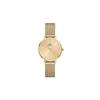 Daniel Wellington Petite Evergold Watch with Gold Mesh Bracelet, Gold, 28mm, Petite Evergold