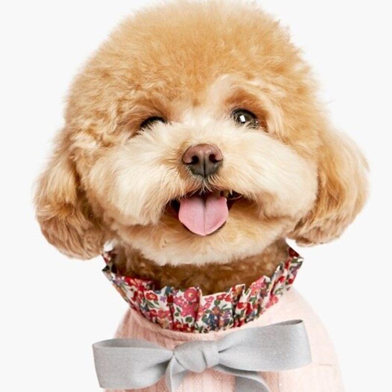 PET AROUND Цветочная футболка Розовая