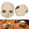 Fish Tank Aquarium Skull Decoration Breeding House Simulation Resin Cranium Statue Spider Scorpion Lizard Shelter Home Ornament