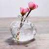Red Hydroponic Flower Vase Transparent Fruit Vase Mini Pomegranate Glass Vase Home Decor