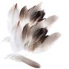 40 Pieces Wild Duck Feathers for Craft Mask Hat 913cm