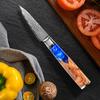 Sliced Knife Kitchen Knife Sushi Sashimi Chef Knife Stainless Steel Kitchen Knife Sharp Kitchen Knife for Household Use