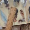 40 шт. смешанного размера, летающие красочные перья, стильная наклейка из ПВХ, скрапбукинг, сделай сам, подарочная упаковка, этикетка, декоративная бирка