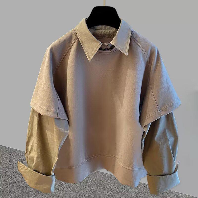 Мужская модная многослойная толстовка в корейском стиле с длинными рукавами: Весна/Осень, свободный крой, универсальный топ