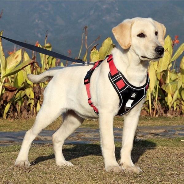 Комфортная шлейка для собак Dog's Lab с защитой от пальцев, вишнево-черная
