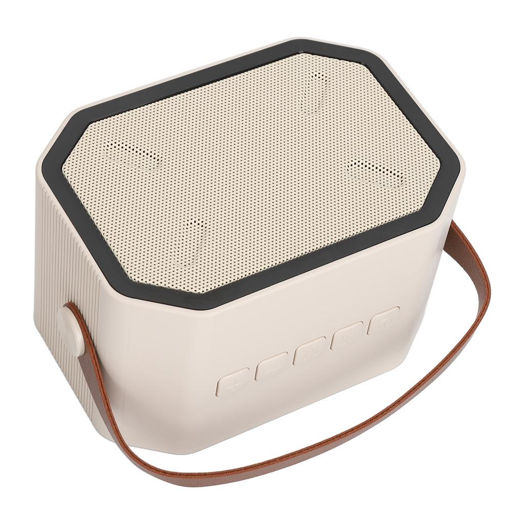 Караоке-машина, белая колонка для караоке с 2 беспроводными микрофонами, ручная ослепительная подсветка для караоке