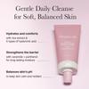 ARENCIA Rosehip Rice Cake Cleanser mid balancing rice cake cleanser 150g