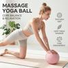 Inflatable Pilates Exercise Ball 25cm Fitness Pilates Ball Sports Ergonomic Yoga Ball  Gym
