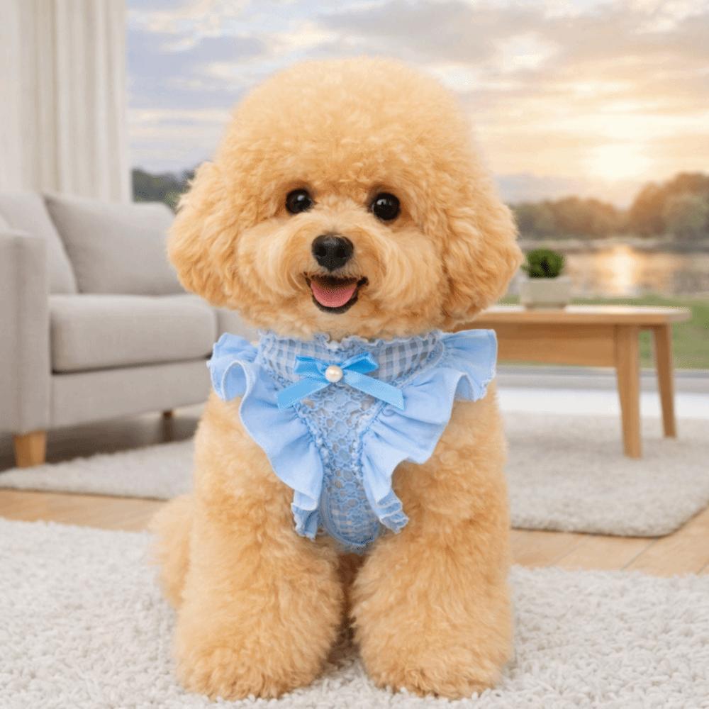 Adjustable Dog Harness and Leash Breathable Cat Harness Vest No Pull Pet Walking Rope  Pet Supplies