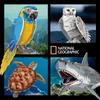 LoCube Nat Geo Kids 3D Turtle Jigsaw Puzzle - Rare Animal Model Toy