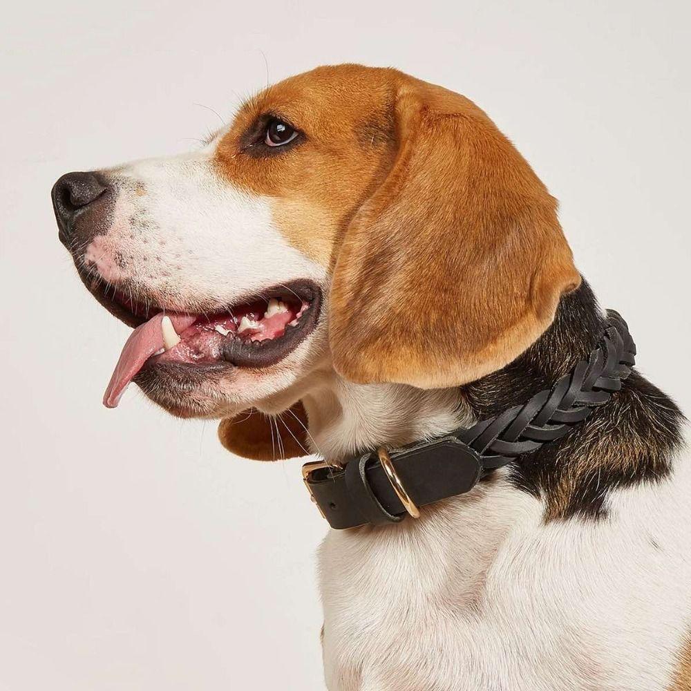 Soft Braided Dog Collar Heavy Duty Puppy Neck Strap Reusable Leather Dog Collar Outdoor