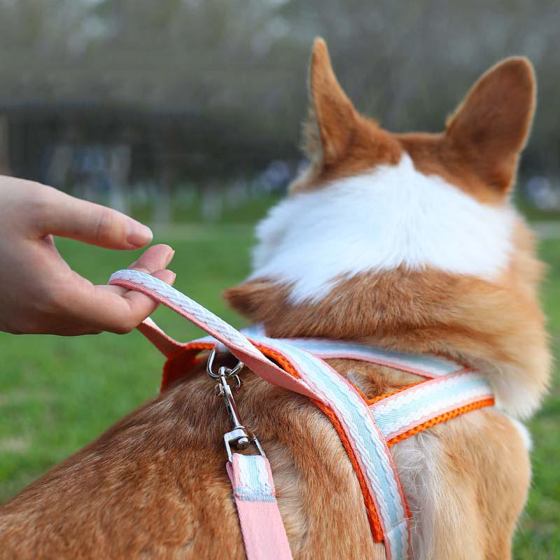 Комплект поводков и шлейки для щенков корги в стиле седла, переносные шлейки для маленьких и средних собак, аксессуары, принадлежности