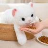 Cat Doll Sleeping Pillow Girls Accompanying Doll Cute Simulation White Kitten Plush Toy