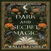 A Dark and Secret Magic by Wallis Kinney Paperback Book 9798892423298