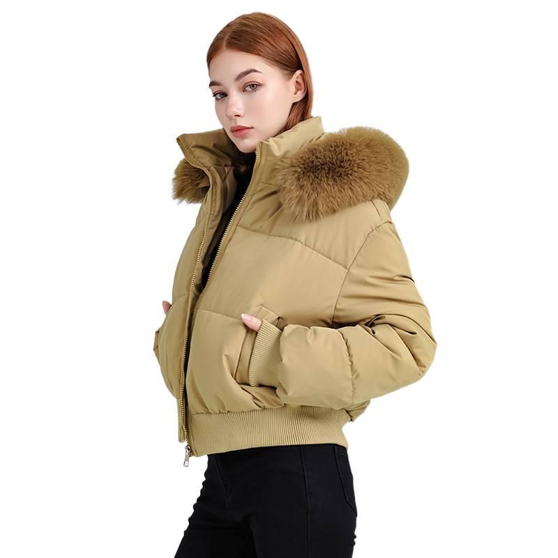 American Style High Waist Big Fur Collar Hooded Short Cotton Jacket Women's Autumn and Winter New Down Cotton Jacket Slimming Jacket Jacket
