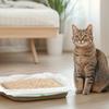 48 шт. наполнителей для кошачьего туалета 43 X 94 см наполнители для кошачьего туалета с завязкой устойчивые к царапинам наполнители для кошачьего туалета герметичные наполнители