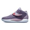 Nike Кроссовки унисекс KD 14 NRG Valentines Day Фиолетовые разноцветные DJ4336-900