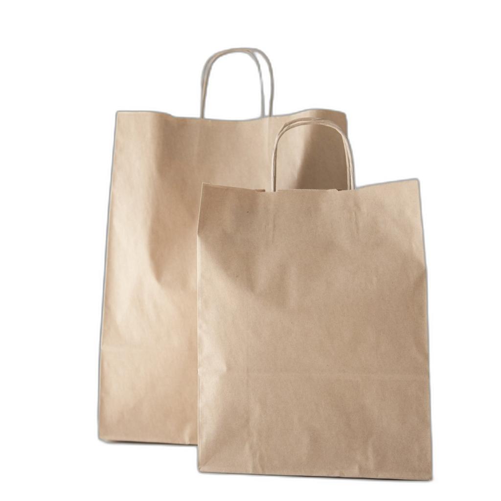 Medium Paper Bag - Set Of 10