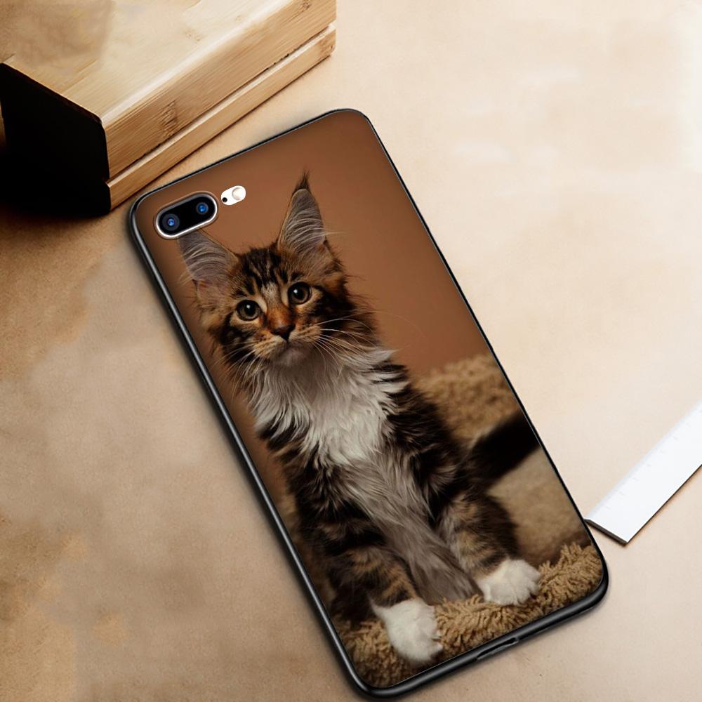 Чехол T145 с изображением кота мейн-куна для iPhone 13 12 Mini 11 Pro XS Max XR X 8 7 6 6S Plus 5 5S SE 2020