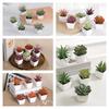 6PCS (УСТАНОВЛЕН) Мини Искусственный Суккулент Зеленое Растение Пластиковый Белый Горшок, Декор для Подоконника Дома, Стола Ресторана, Книжной Полки