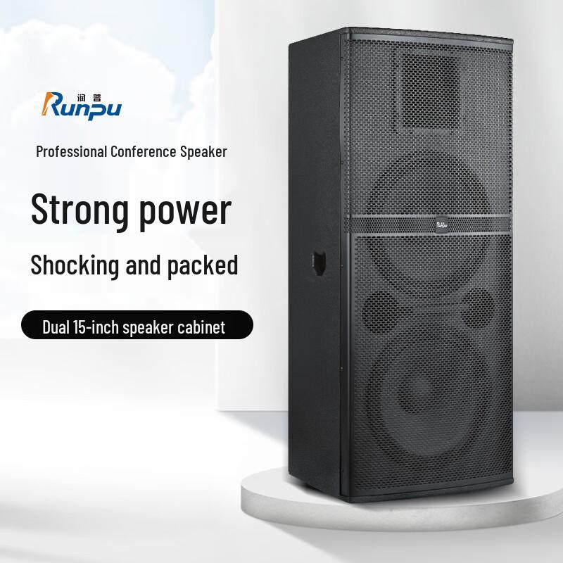 Runpu Professional Dual 15-inch Passive Conference Speaker (CN version)