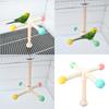 Bird Perch Nature Molar Stand for Parrots Conure Supplies Budgies Grinding Scratchers for Small Medium Parrots Toy