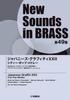 NSB Volume 49 Japanese Graffiti XXII City Pop Medley Sounds In (New BRASS)