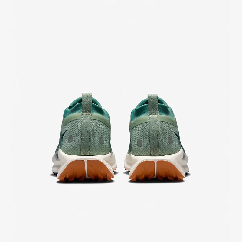 Nike Мужские кроссовки для трейлраннинга Pegasus Trail 5 GTX FQ0908