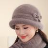 Autumn and Winter Hats Women's Wool Hats Fleece Cold-proof Cotton Basin Hats Knitted Hats