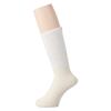 Room Socks IVORY 2 [Goldwin] Re-Optimum