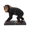 Ubia Chimpanzee 26 X X 23 Garden H21235 Bookstand, 14.5 Cm, Figurine, Animal, Decor, Monkey,