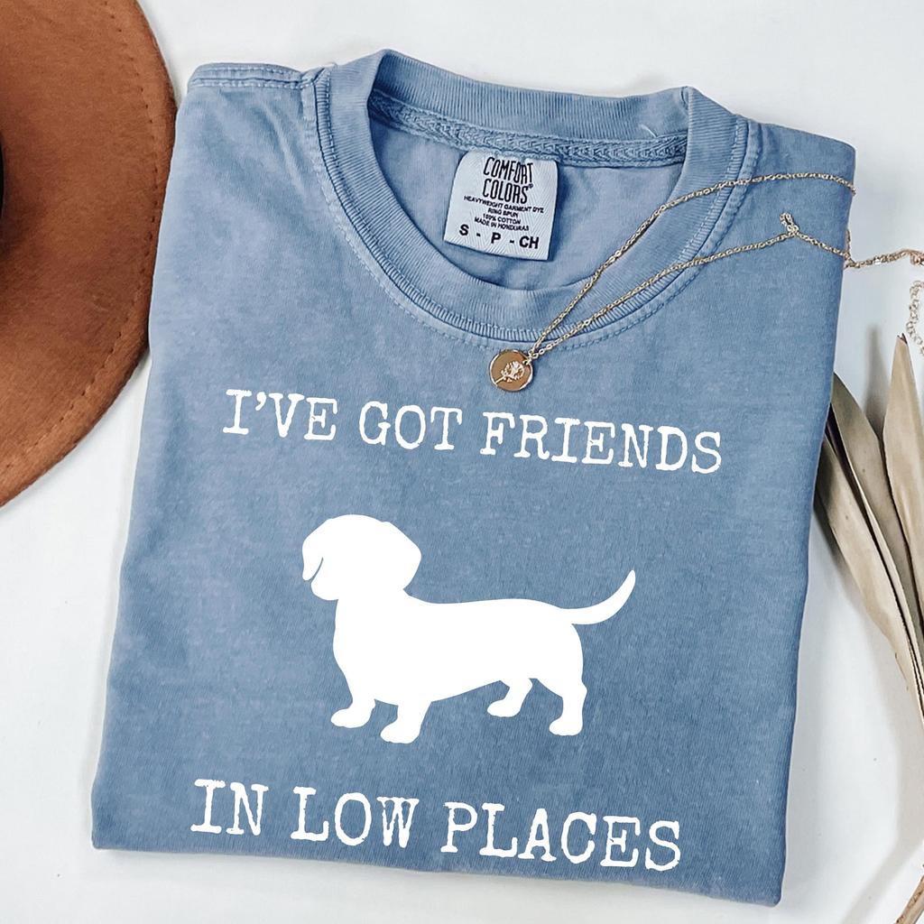 I've Got Friends In Low Places Funny Dachshund T shirt, Meme Shirts, Gag Gifts, Unisex Cotton Tee, Comfort Colors, Ironic T shirt