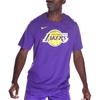 Nike Лос-Анджелес Лейкерс Базовая мужская футболка Nike NBA FJ0243-504